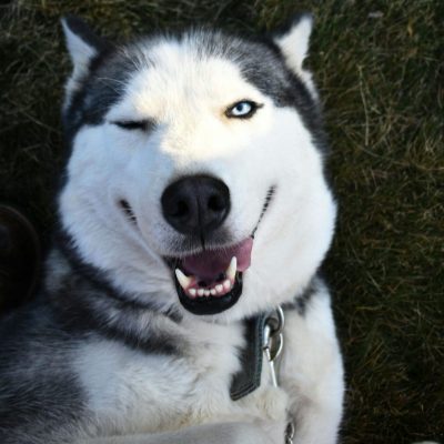 pexels-jhelmuth-3196887